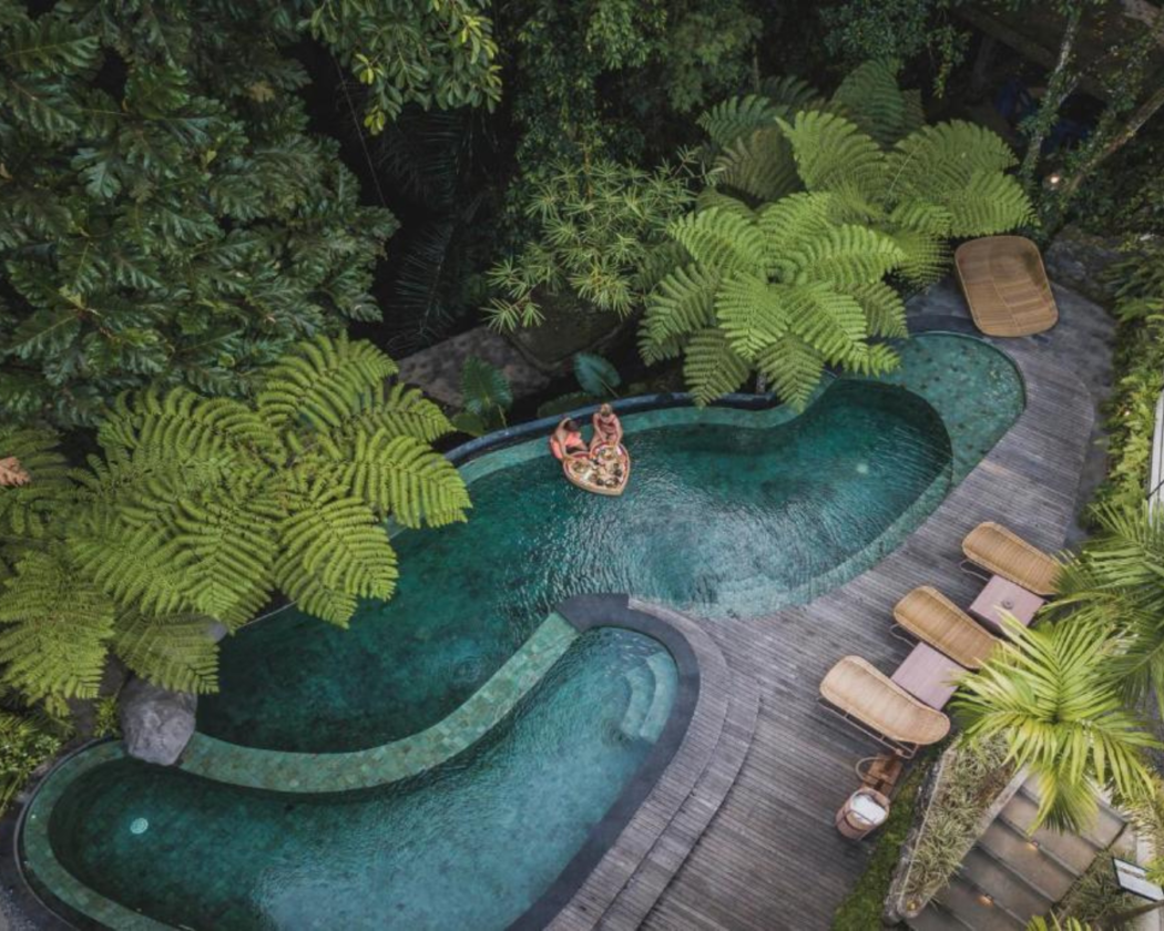 hotel-positioning-ivy&co-1